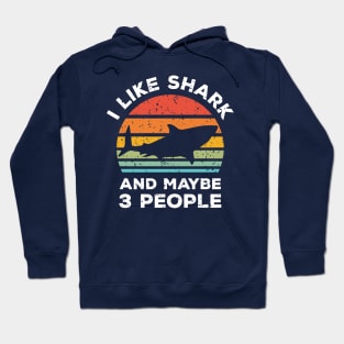 I Like Shark and Maybe 3 People, Retro Vintage Sunset with Style Old Grainy Grunge Texture Hoodie